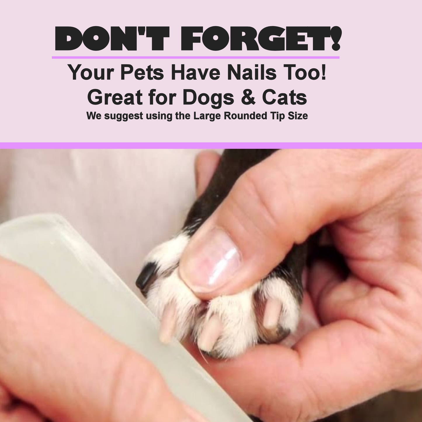 Chihuahua Dog Pup Flowers 3D Pet Colored Crystal Nail File: Large