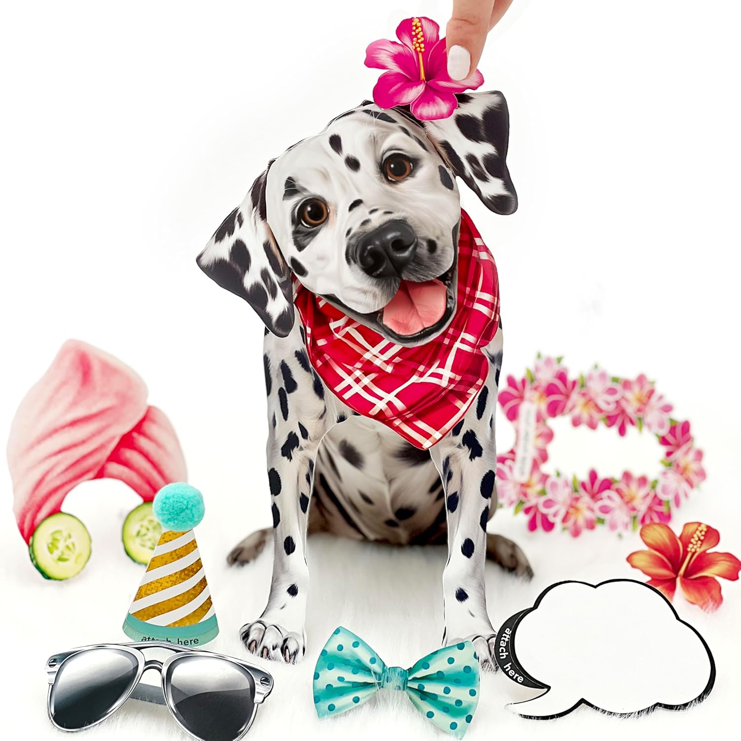 Dalmation FreshCut Paper - Pop Up Pet Card