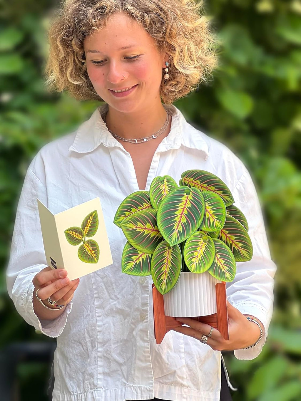 Prayer Plant FreshCut Paper - Pop Up Flower Bouquet