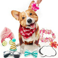 Corgi FreshCut Paper - Pop Up Pet Card