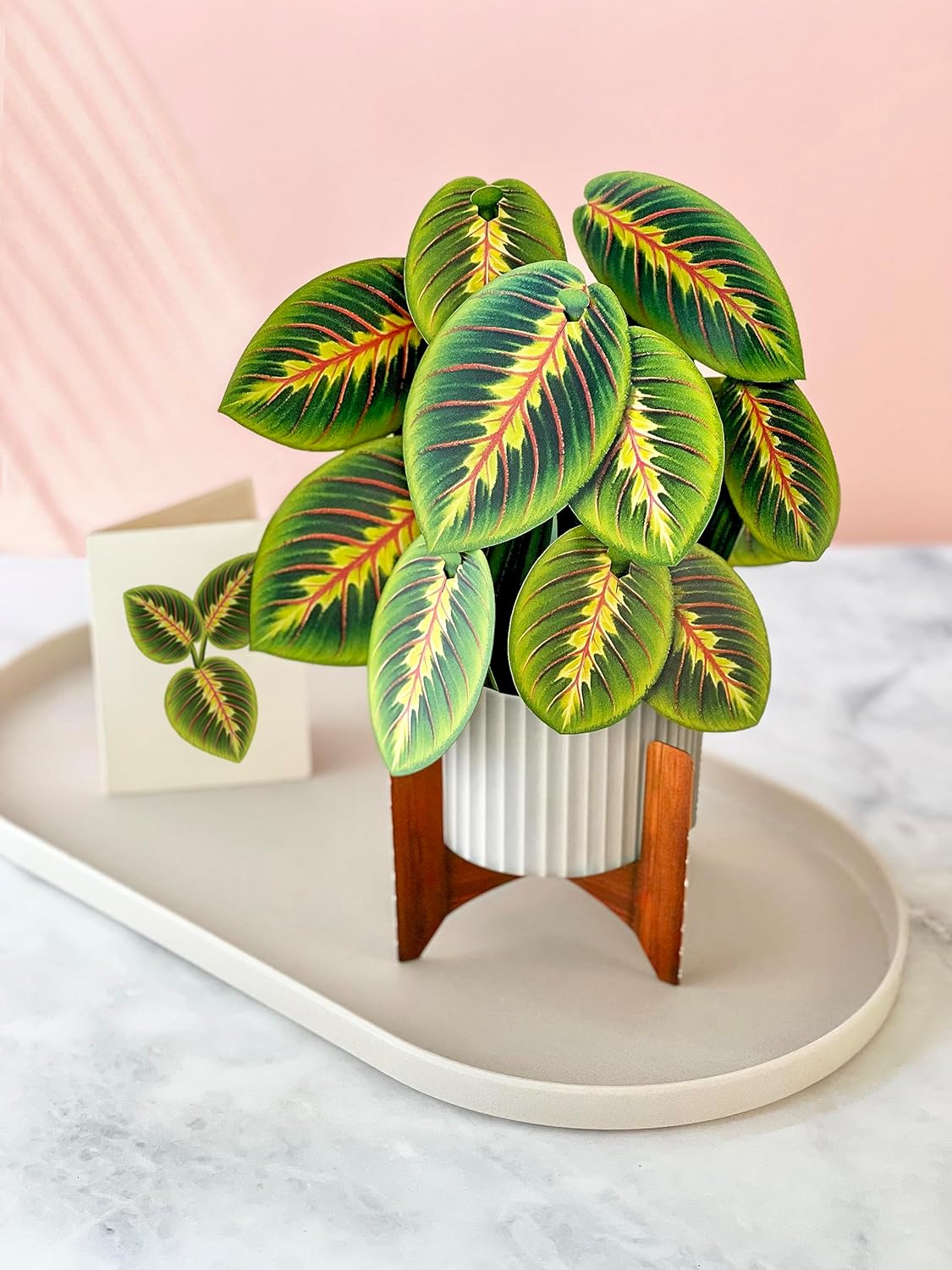 Prayer Plant FreshCut Paper - Pop Up Flower Bouquet