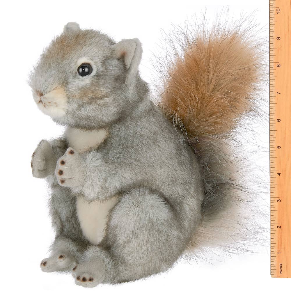 Peanut the Squirrel