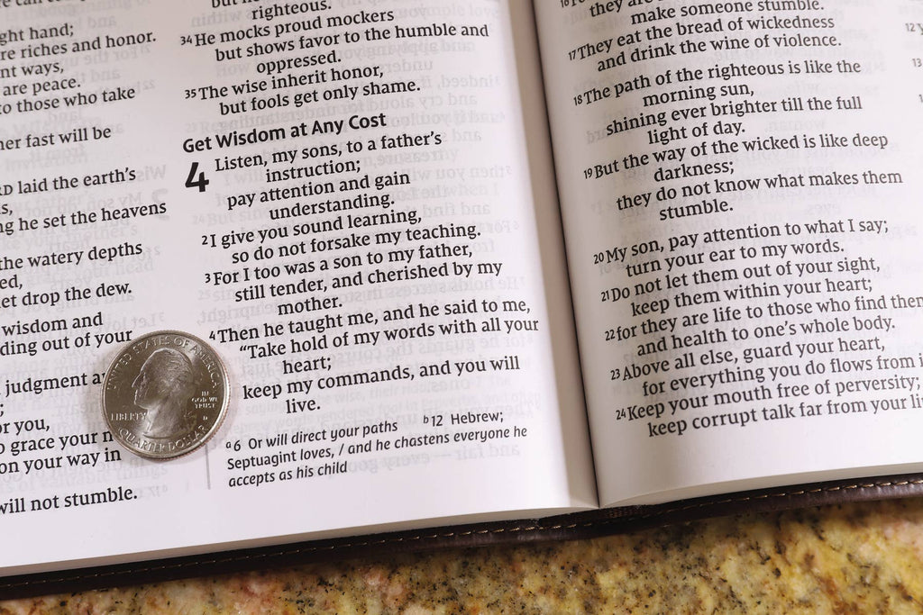 NIV Value Thinline Bible, Large Print, Leathersoft, Brown