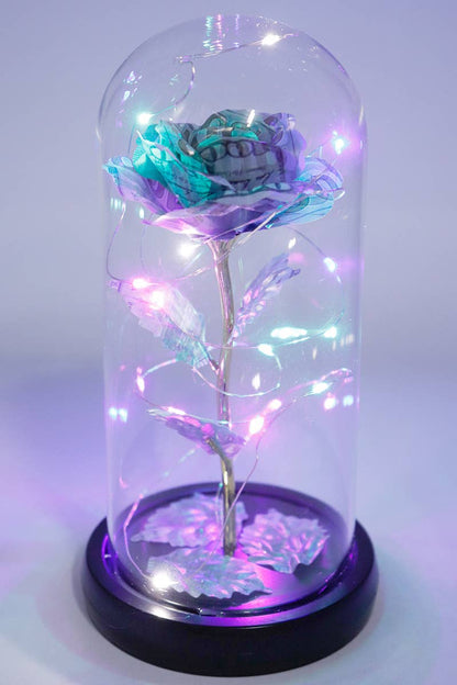 Money Rose Glass Dome LED Light Stand: $100 Bill