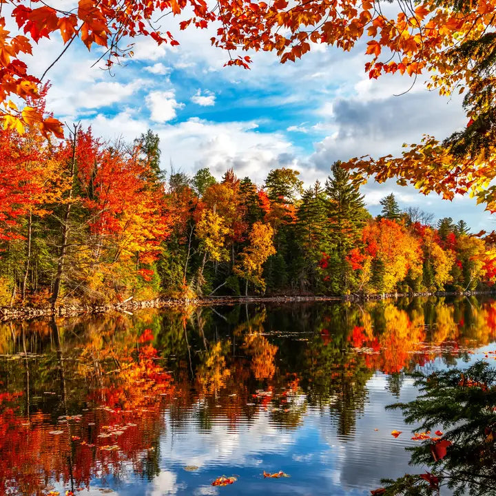 Autumn Lake Puzzle