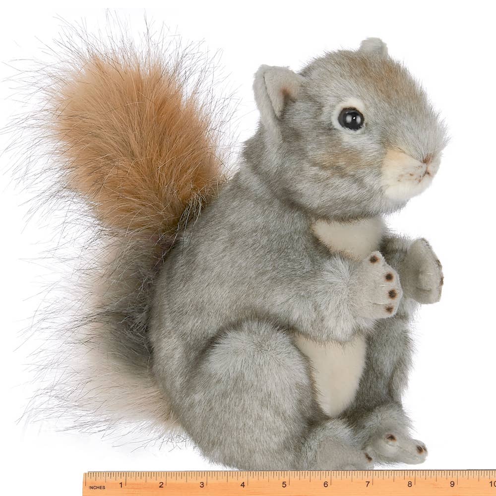 Peanut the Squirrel
