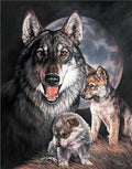 Graham Wolf Experience Tin Sign