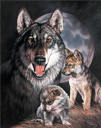 Graham Wolf Experience Tin Sign