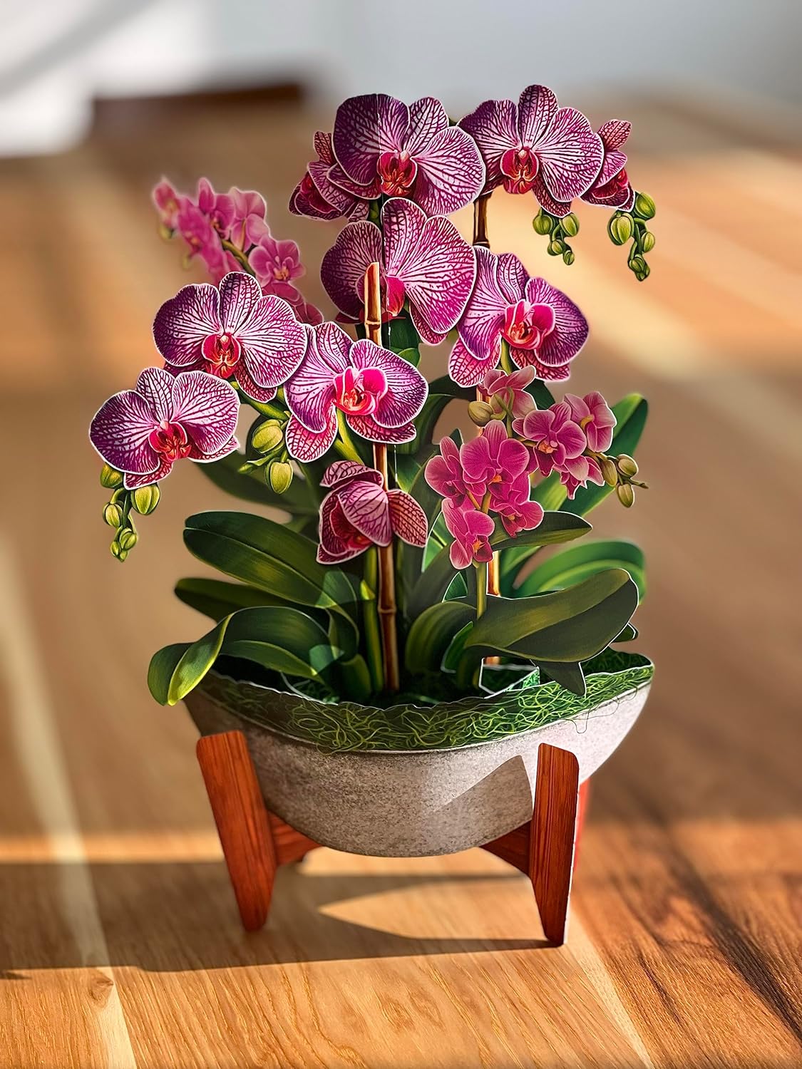 Orchid Oasis FreshCut Paper - Pop Up Houseplant