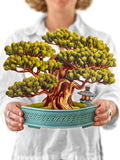 Wisdom Bonsai FreshCut Paper - Pop Up Houseplant