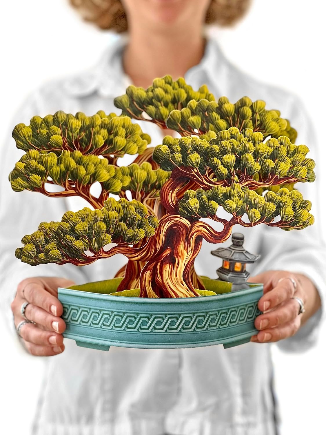 Wisdom Bonsai FreshCut Paper - Pop Up Houseplant