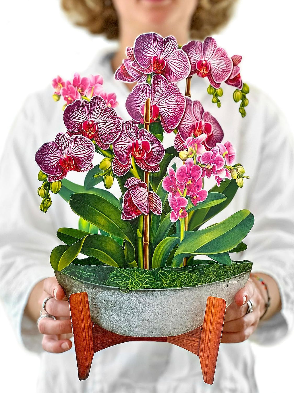 Orchid Oasis FreshCut Paper - Pop Up Houseplant