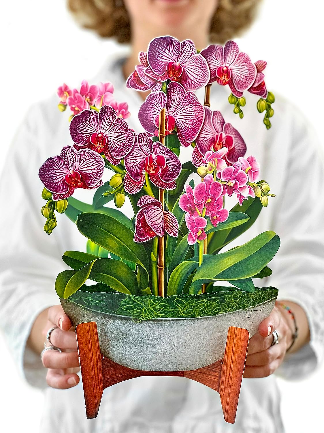 Orchid Oasis FreshCut Paper - Pop Up Houseplant