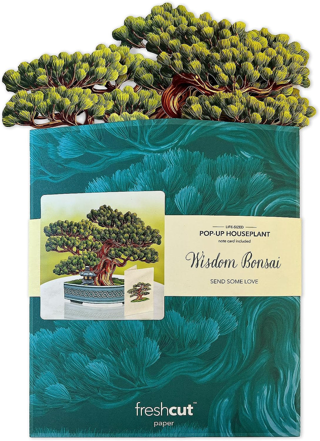 Wisdom Bonsai FreshCut Paper - Pop Up Houseplant