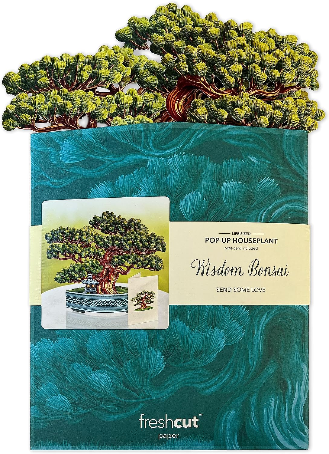 Wisdom Bonsai FreshCut Paper - Pop Up Houseplant