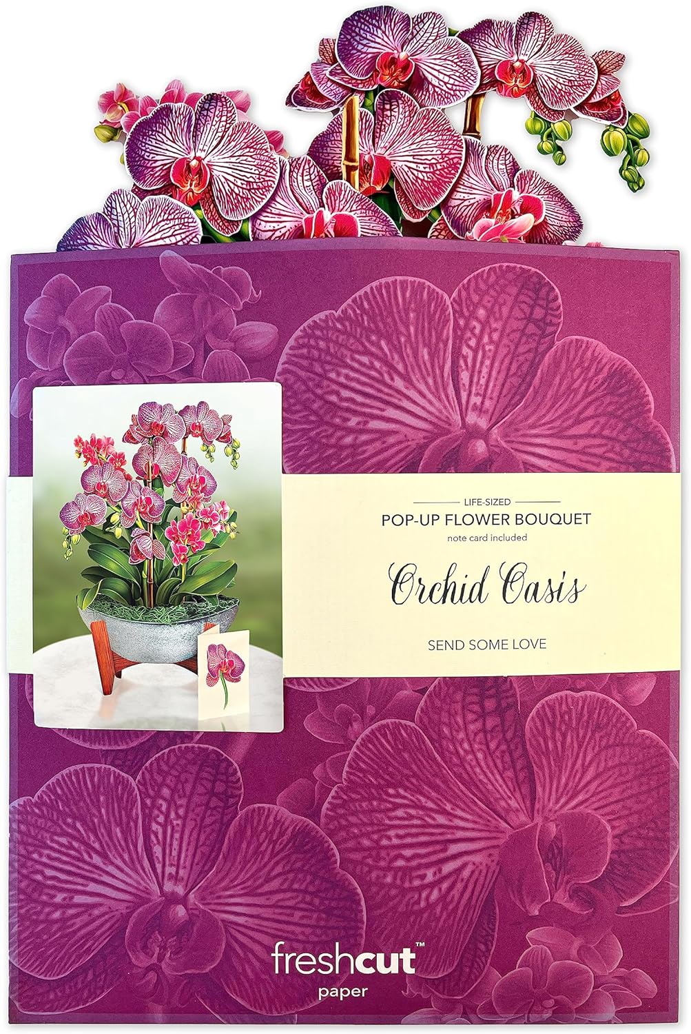 Orchid Oasis FreshCut Paper - Pop Up Houseplant