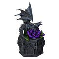 Dragon Beauty Box