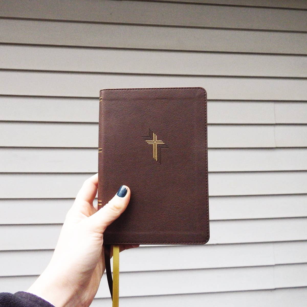 NIV Larger Print Compact Bible, Leathersoft, Brown