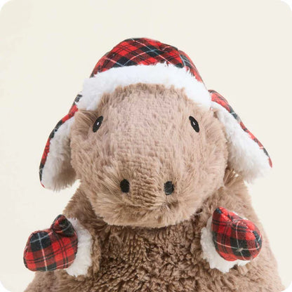 Cozy Capybara Warmies