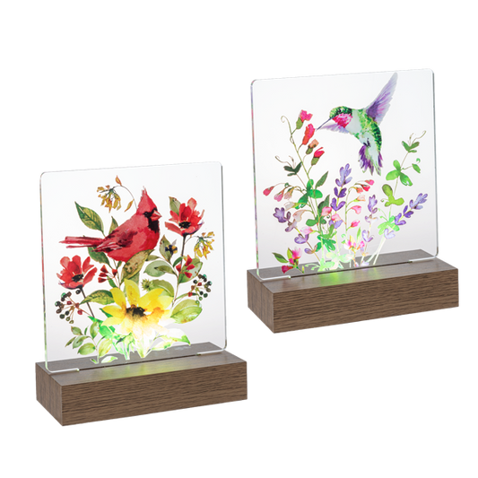 Cardinal & Hummingbird Tabletop LED