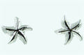 Spirit by Silver Forest Silver Starfish Post Earrings