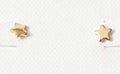 Spirit by Silver Forest Tiny Gold Star Post Earrings