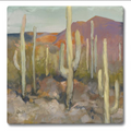 High Desert Coasters 4pk/set