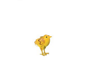 Napa Chick