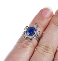 Turtle Mood Rings