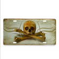 Skull and Crossbones License Plate