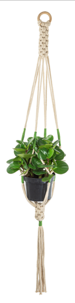 Crochet Colorful Plant Hanger
