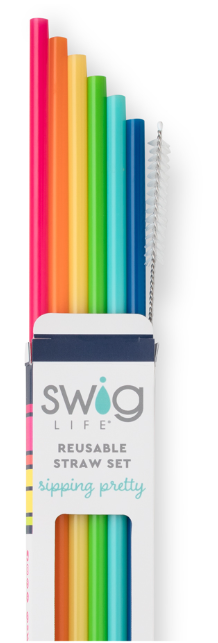 Rainbow Reusable Straw Set