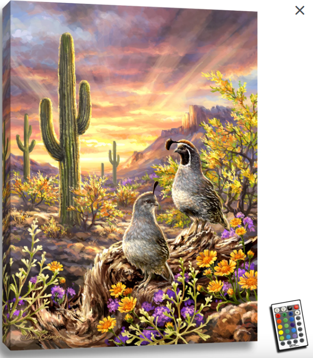 Quail Vista LED Wall Canvas