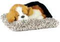 Beagle Mini