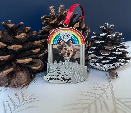 Rainbow Bridge Pet Memorial Ornament - Silver