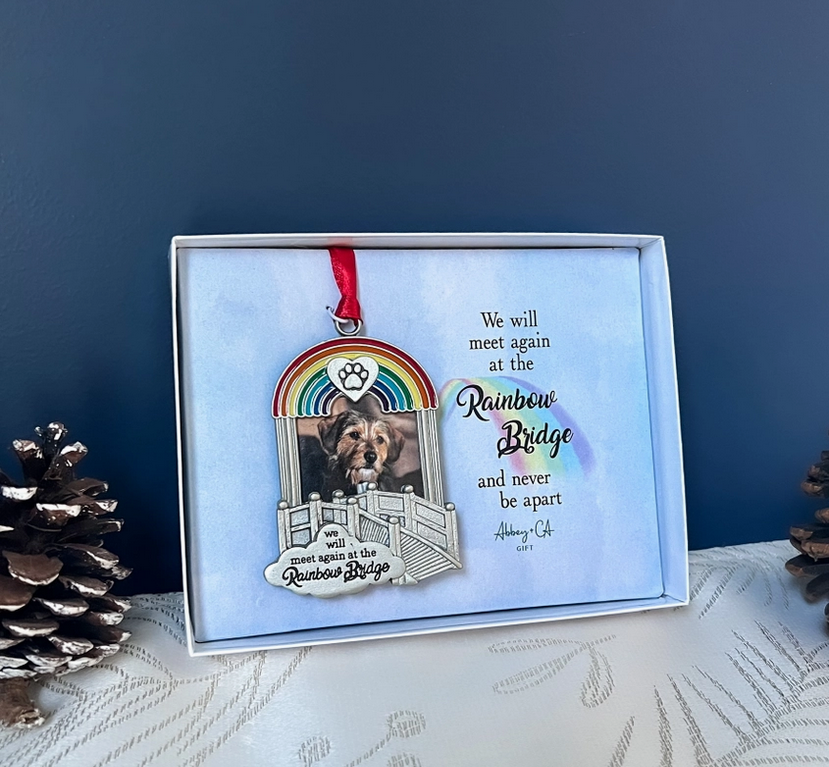 Rainbow Bridge Pet Memorial Ornament - Silver
