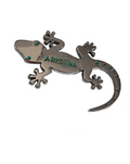 Gecko Arizona Magnet Silver