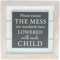 Please Excuse The Mess...Plaque