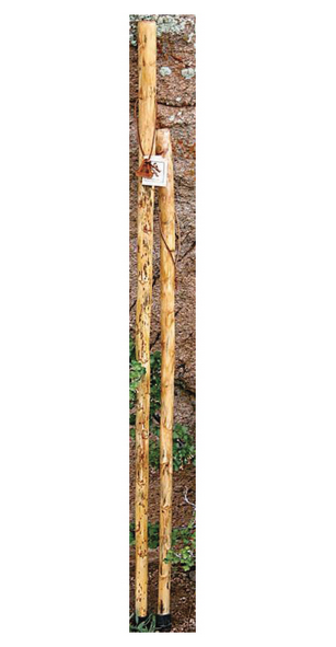 Whistle Creek Sotol Staff Walking Stick