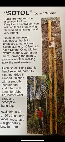 Whistle Creek Sotol Staff Walking Stick