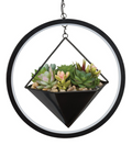 Hexagon Lumen Succulent Solar Lantern