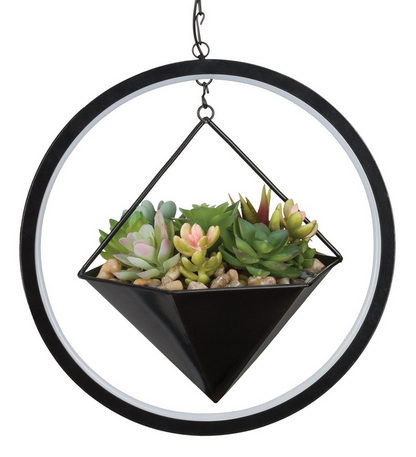 Hexagon Lumen Succulent Solar Lantern