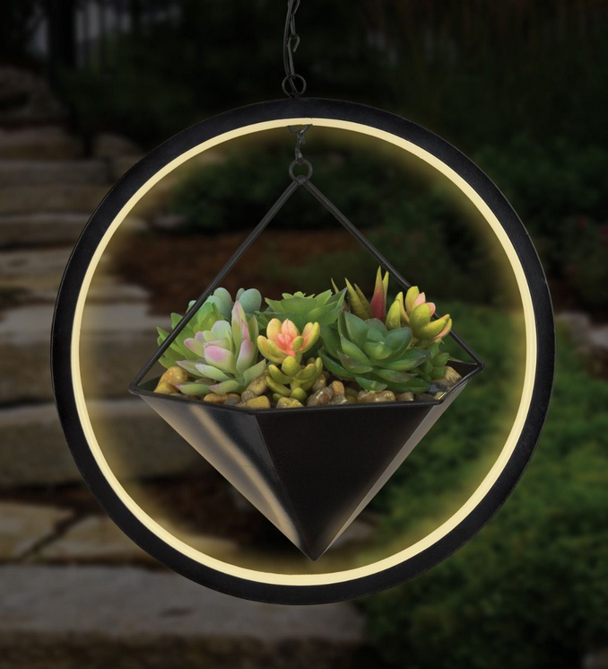 Hexagon Lumen Succulent Solar Lantern