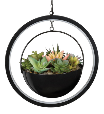 Round Lumen Succulent Solar Lantern