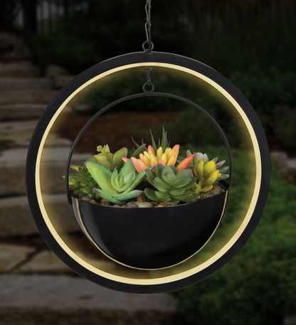 Round Lumen Succulent Solar Lantern