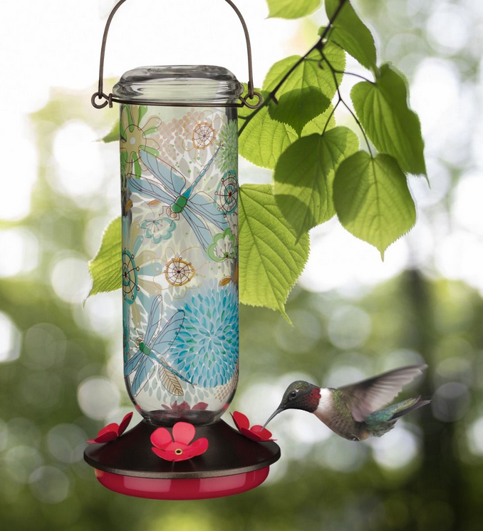 Dragonfly Hummingbird Feeder