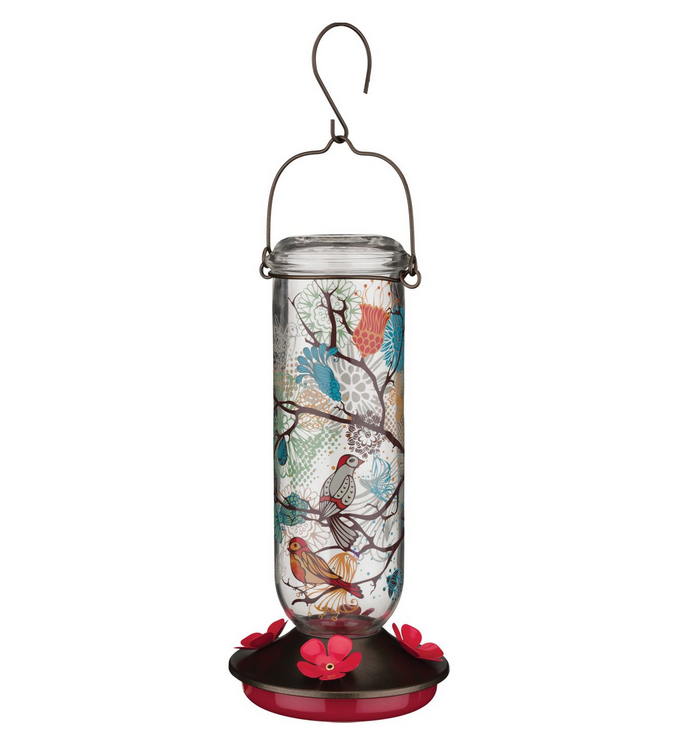 Bird Hummingbird Feeder