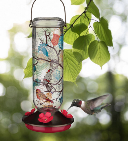 Bird Hummingbird Feeder