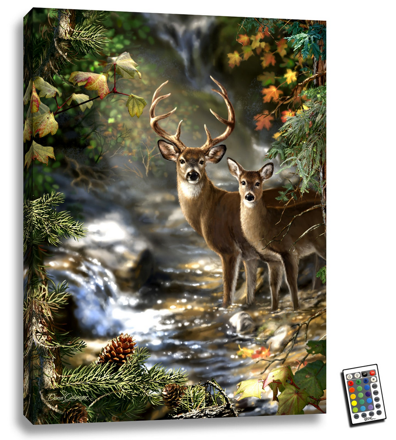 Deer Creek LED Wall Canvas