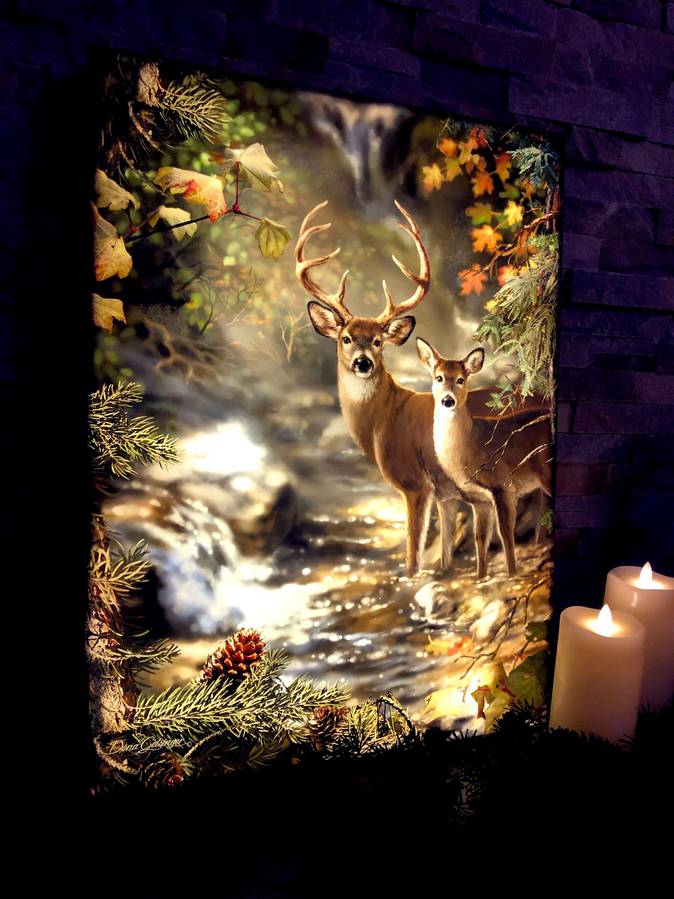 Deer Creek LED Wall Canvas